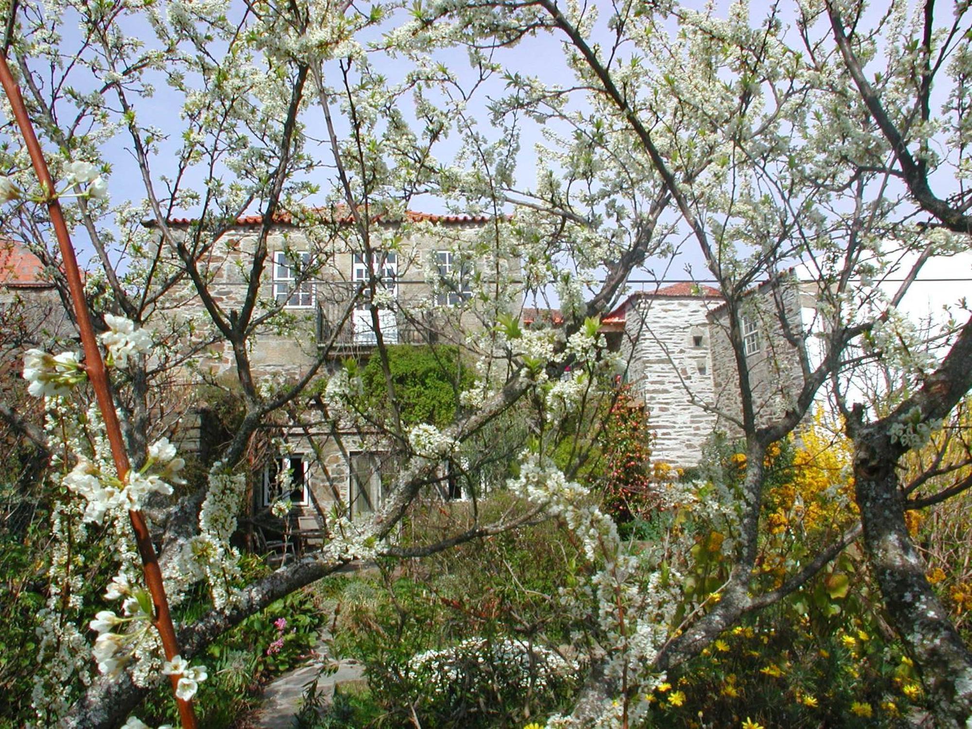 Mesao Provesende Hotel Bagian luar foto