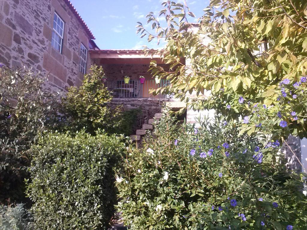 Mesao Provesende Hotel Bagian luar foto